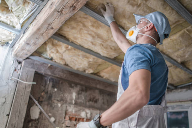 Best Spray Foam Insulation in Aquia Harbour, VA